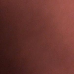 Meet your Posher, Jawan